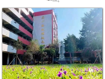 天游ty8天游ty8线路检测中心登录2023年自主招生咨询月公告